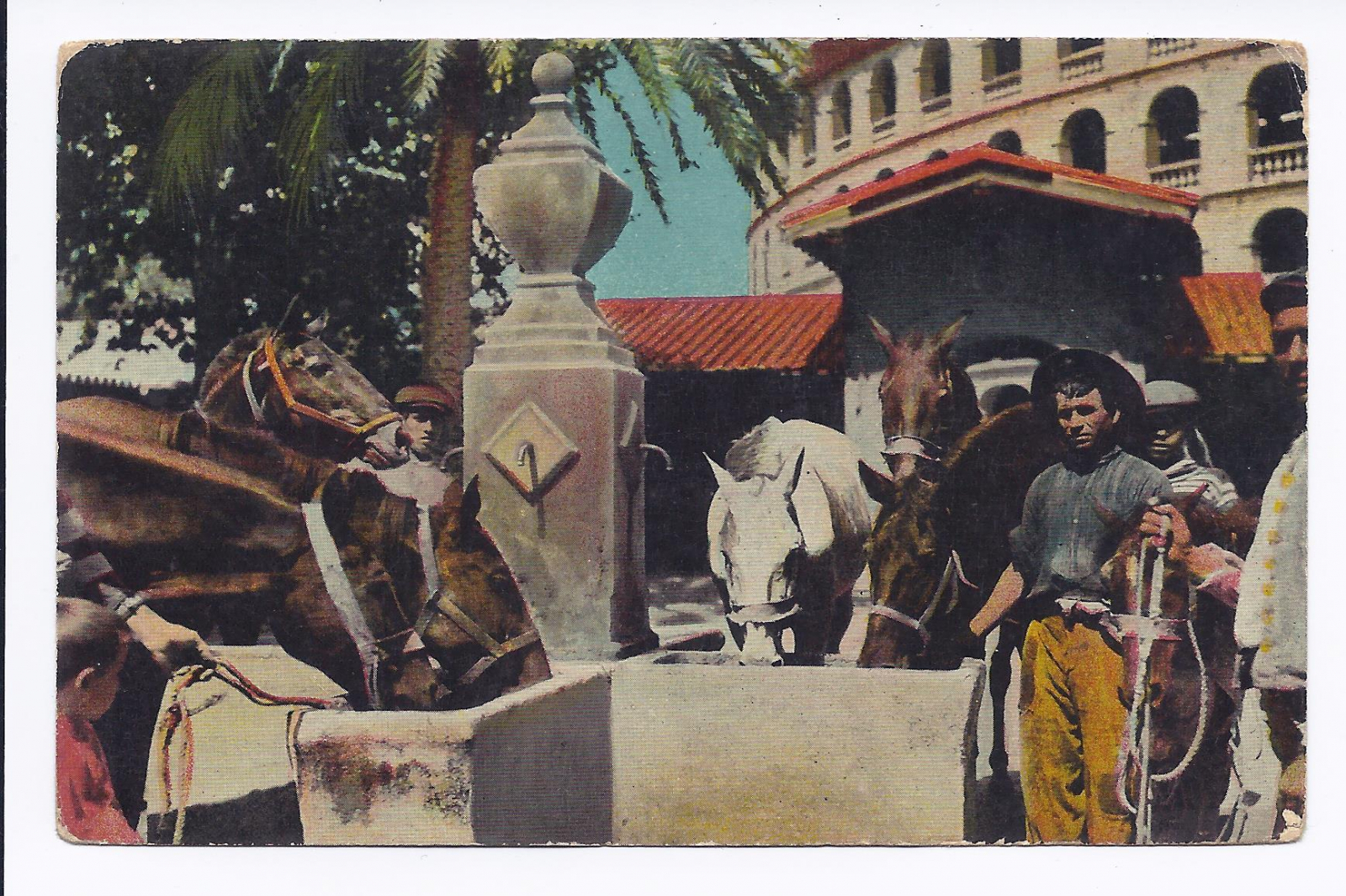 Antiques - POST CARD DRINKING HORSES. SPAIN. PLAZA TOROS