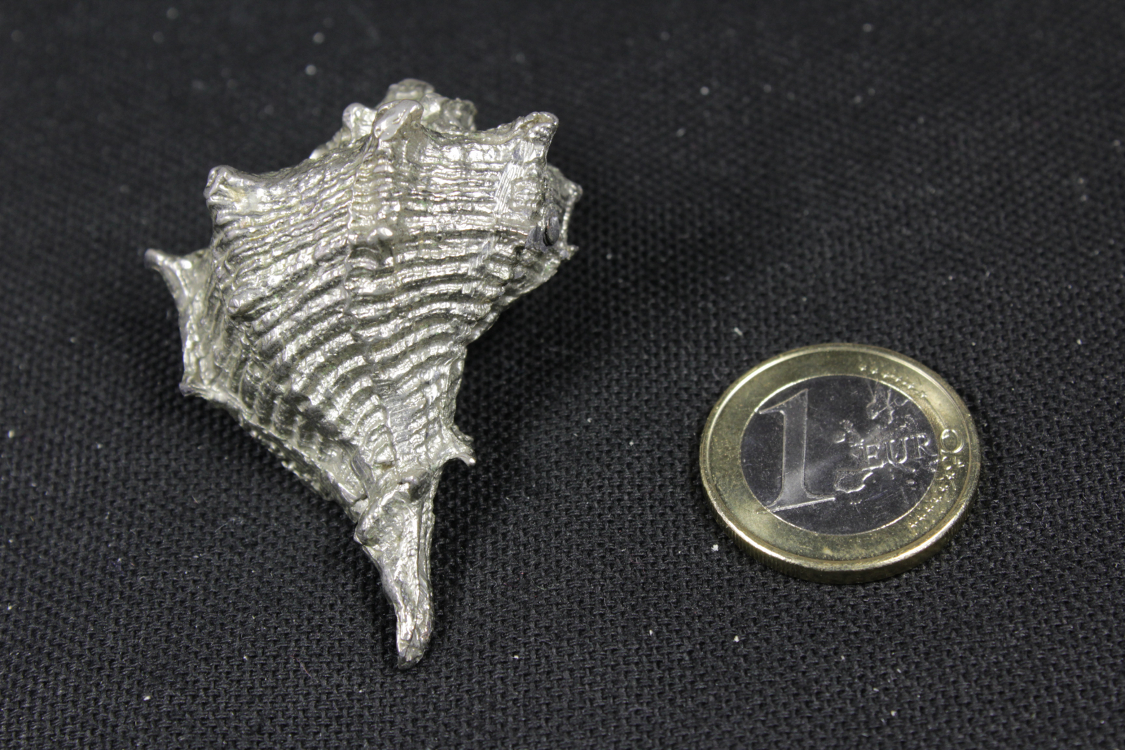 Antiques - METAL SHELL. MINIATURE. S.XX