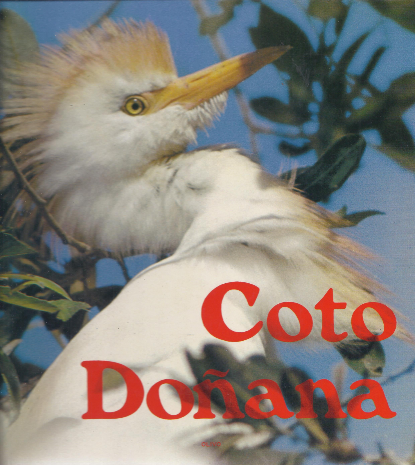 Antiguedades - COTO DOÑANA. 1979  (T)
