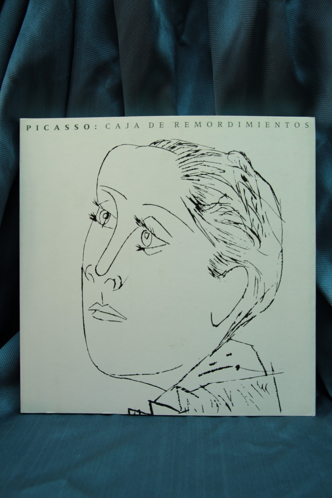 Antiguedades - LIBRO PICASSO: CAJA DE REMORDIMIENTOS. BANCAJA. (T)