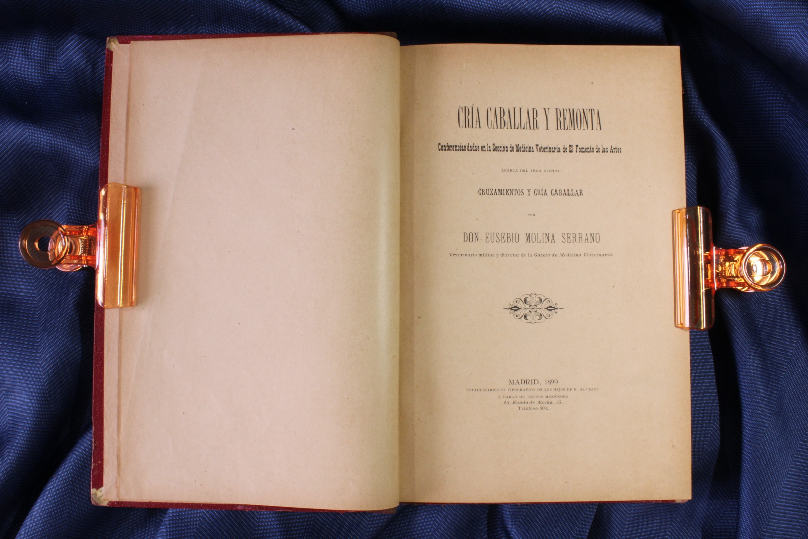 Antiguedades - LIBRO CRÍA CABALLAR Y REMONTA. EUSEBIO MOLINA SERRANO. 1899