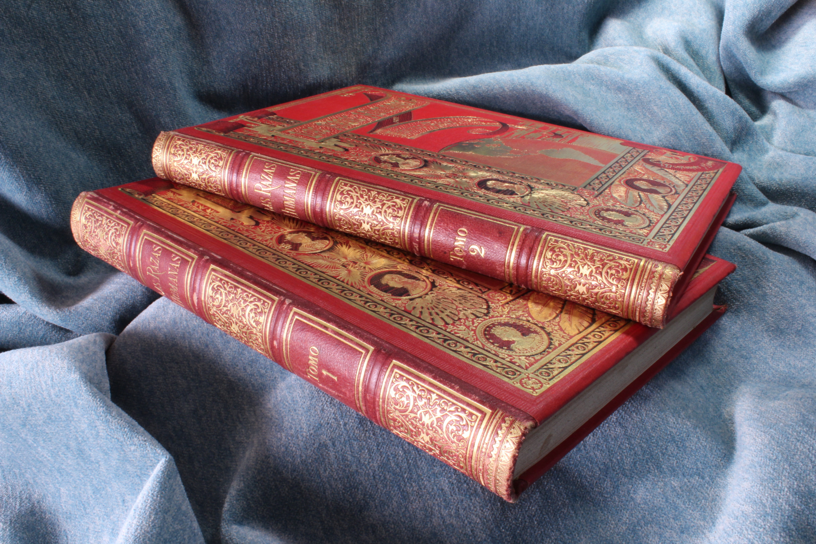 Antiques - BOOK THE HUMAN RACES. TWO VOLUMES 1888 (T)
