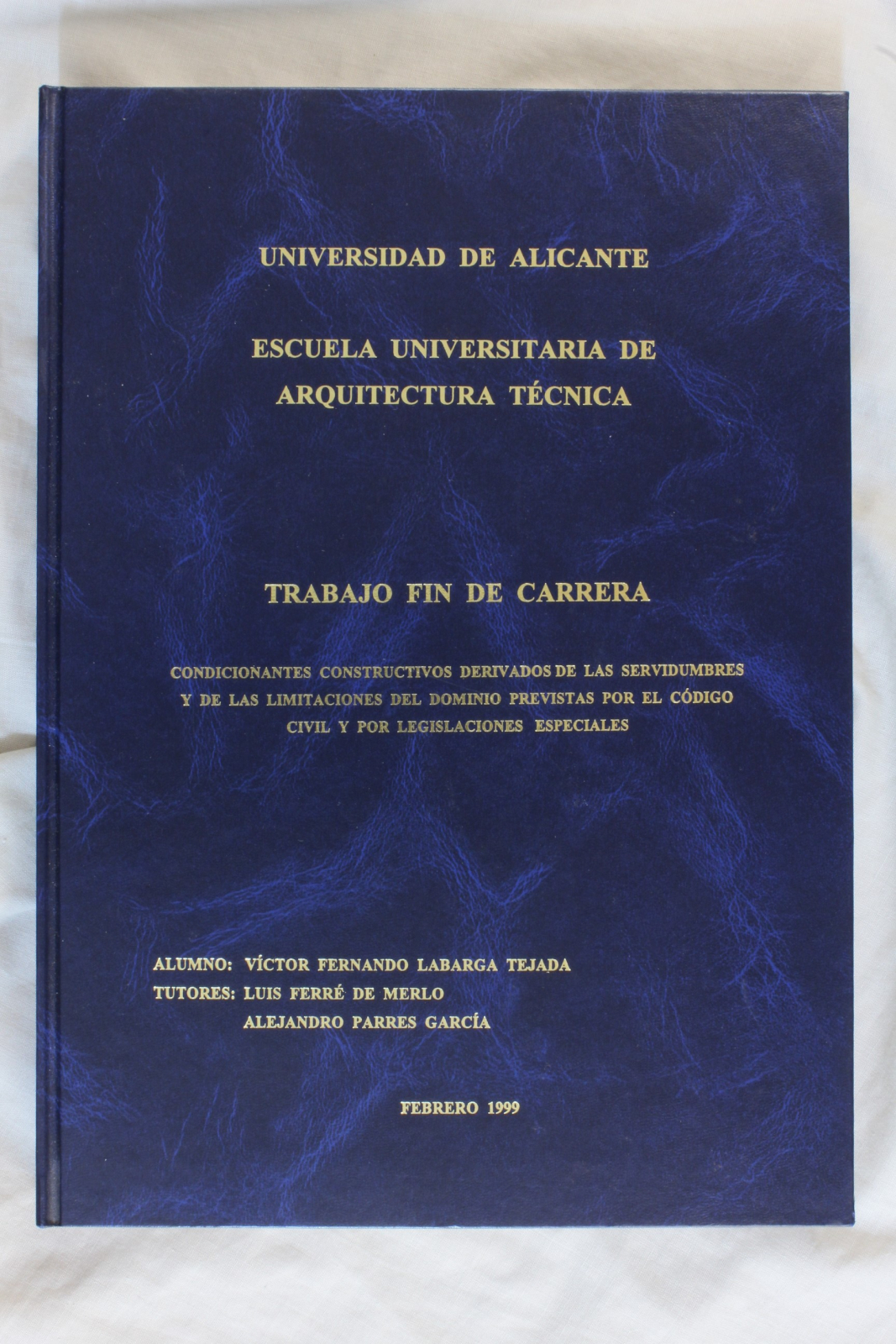 Antiques - FINAL YEAR PROJECT. TECHNICAL ARCHITECTURE. EASEMENTS. 1999 (T)