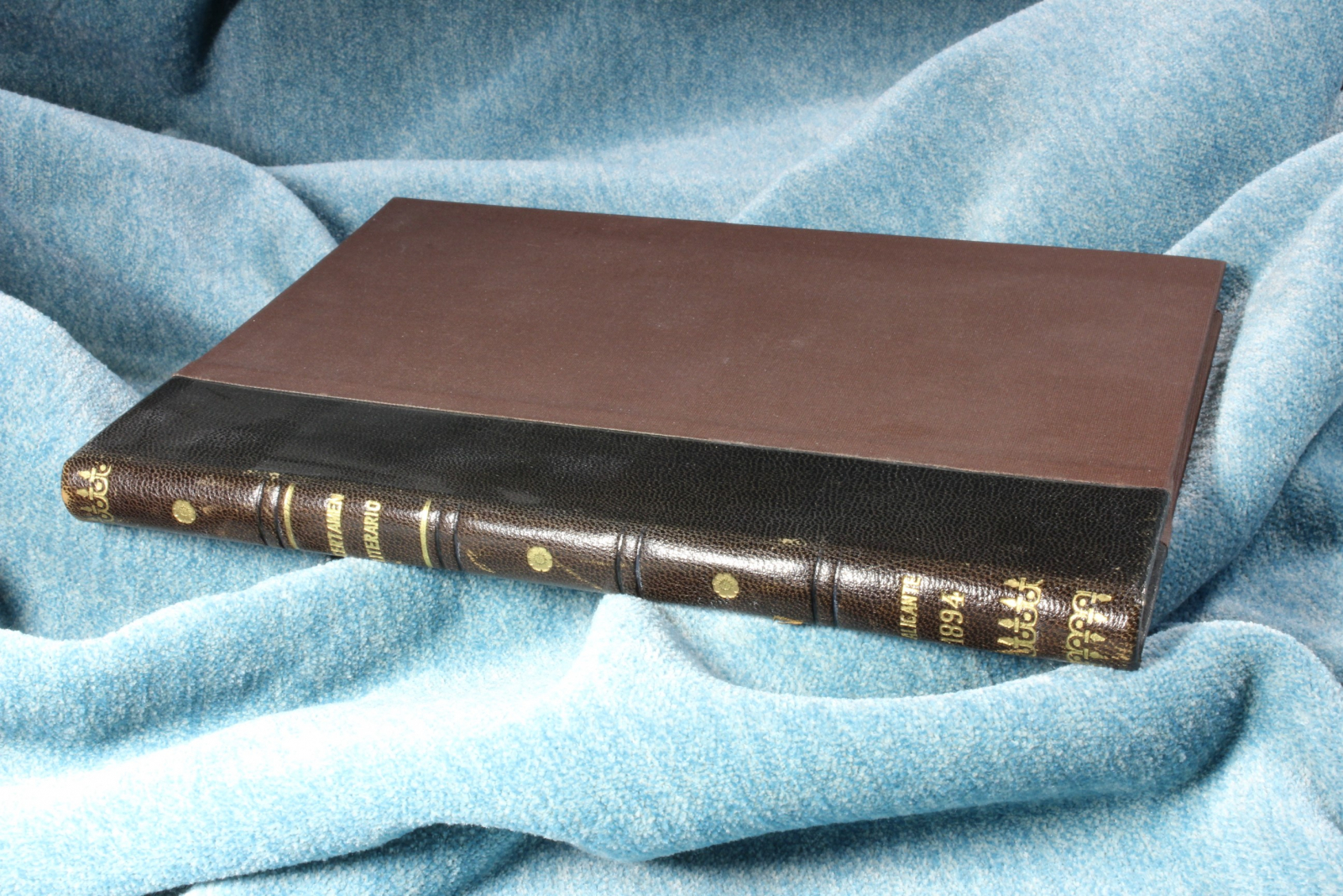 Antiques - LITERARY BOOK BOOK. MINUTES, MEMORY OF THE JURY. ALICANTE 1894 (T)