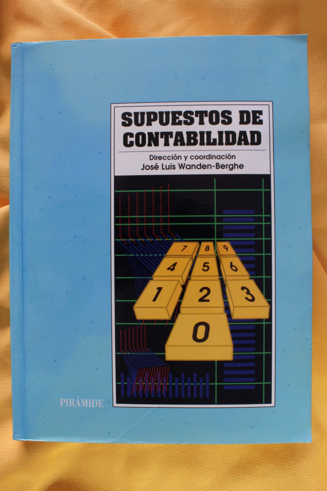 Antiques - BOOK ACCOUNTING ASSUMPTIONS. JOSÉ LUIS WANDEN - BERGHE (T)