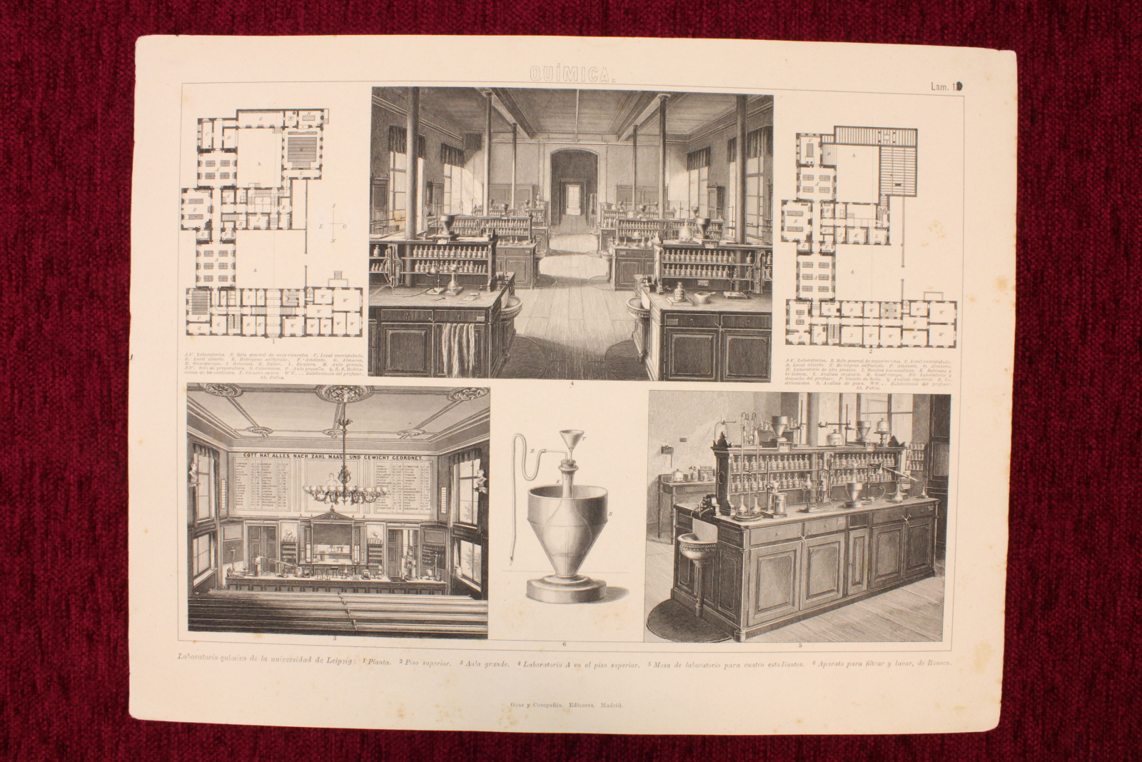 Antiques - ENGRAVING LABORATORY LEIPZIG UNIVERSITY. GRAS AND COMPANY.