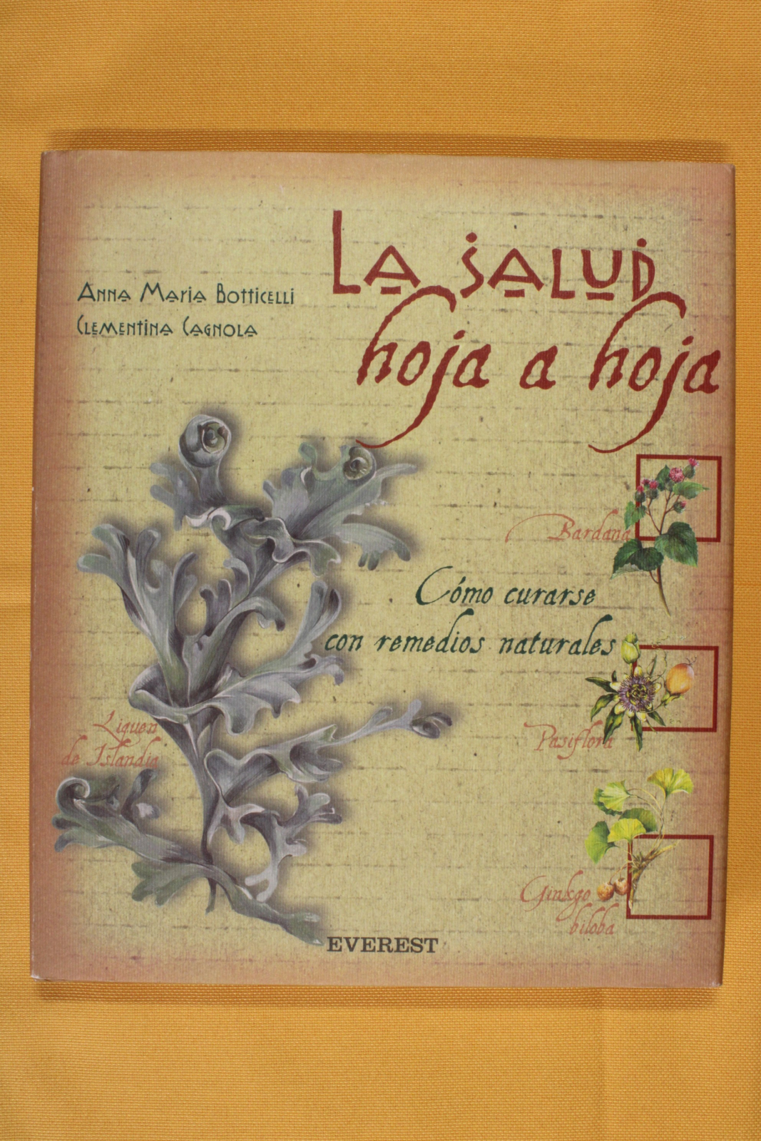 Antiguedades - LIBRO LA SALUD HOJA A HOJA. PLANTAS MEDICINALES. MEDICINA NATURAL. (T)