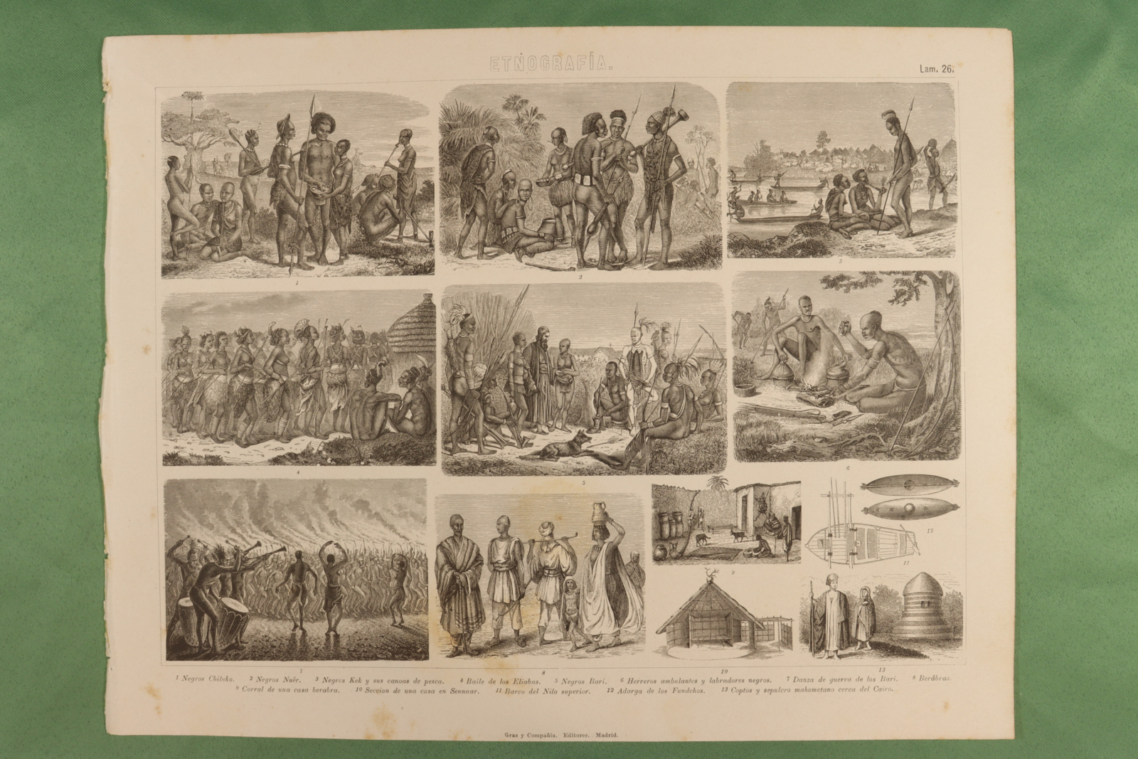 Antiques - ENGRAVING ETHNOGRAPHY SHEET 26 GRAS & Cª. CHILUKO, NUÊR, KEK, ELIABAS 