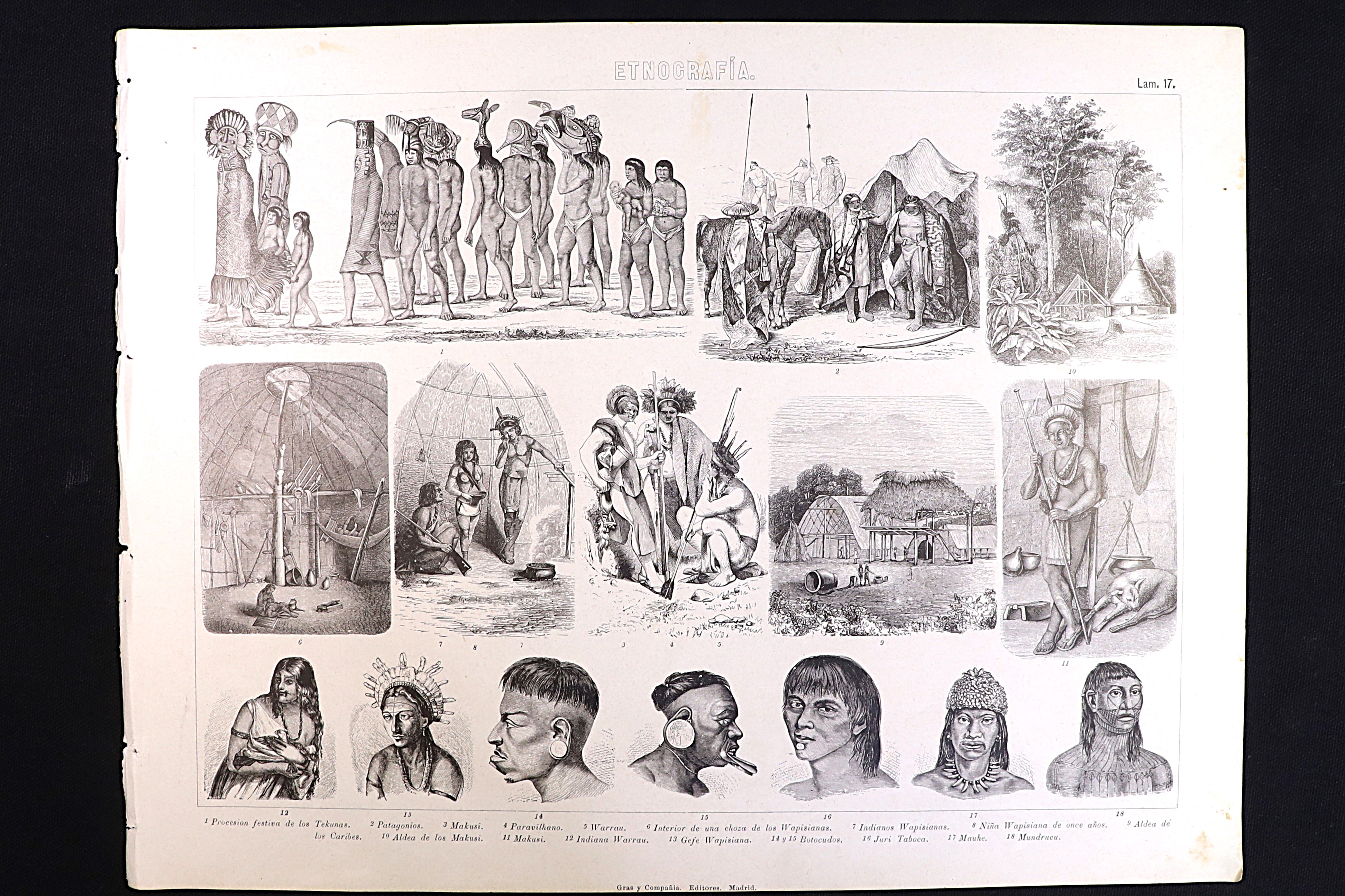 Antiques of ethnography print 17 amazonian indigenous tribes tekunas makusi wapisiana