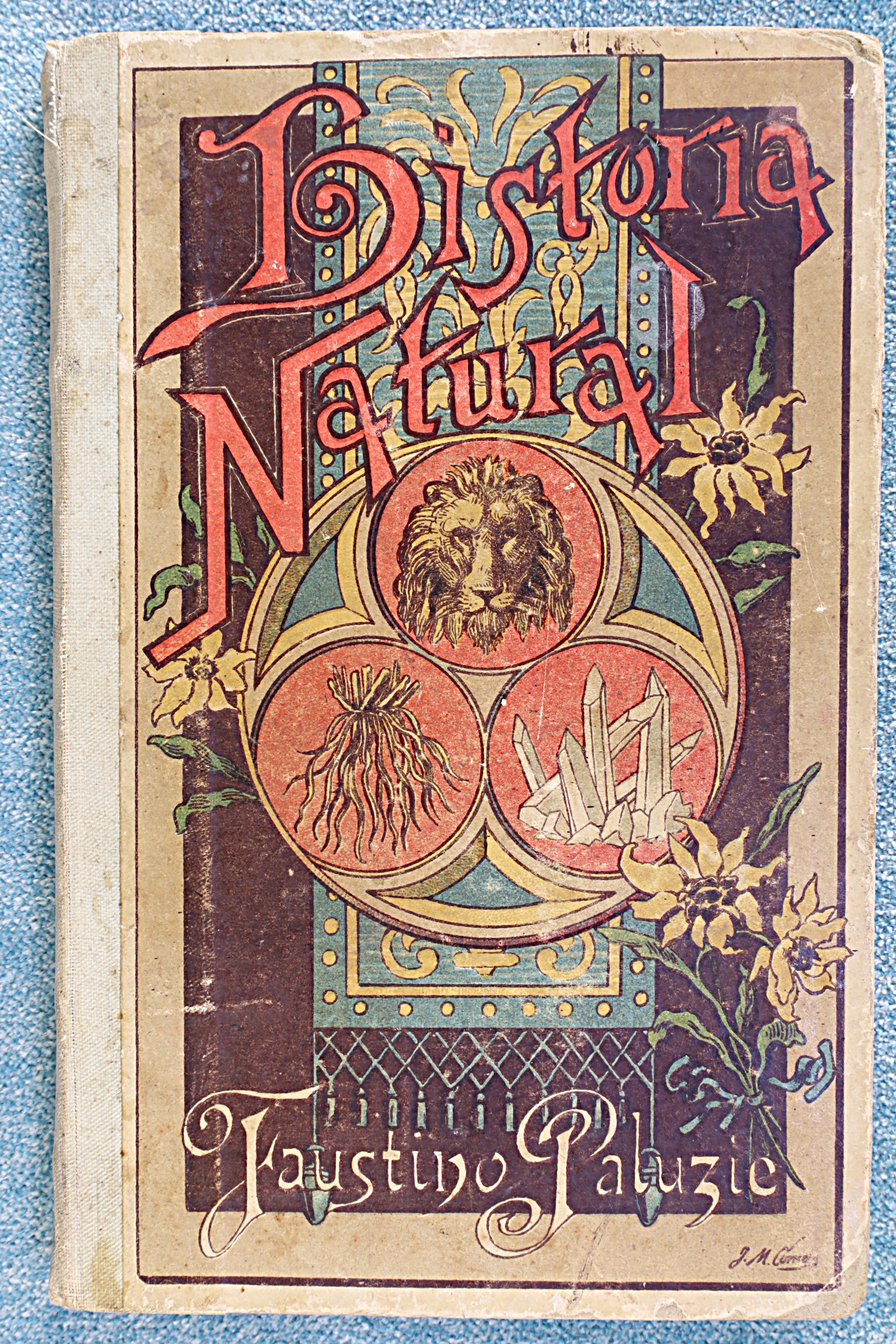 Antiguedades de natural history faustino paluzie 1905