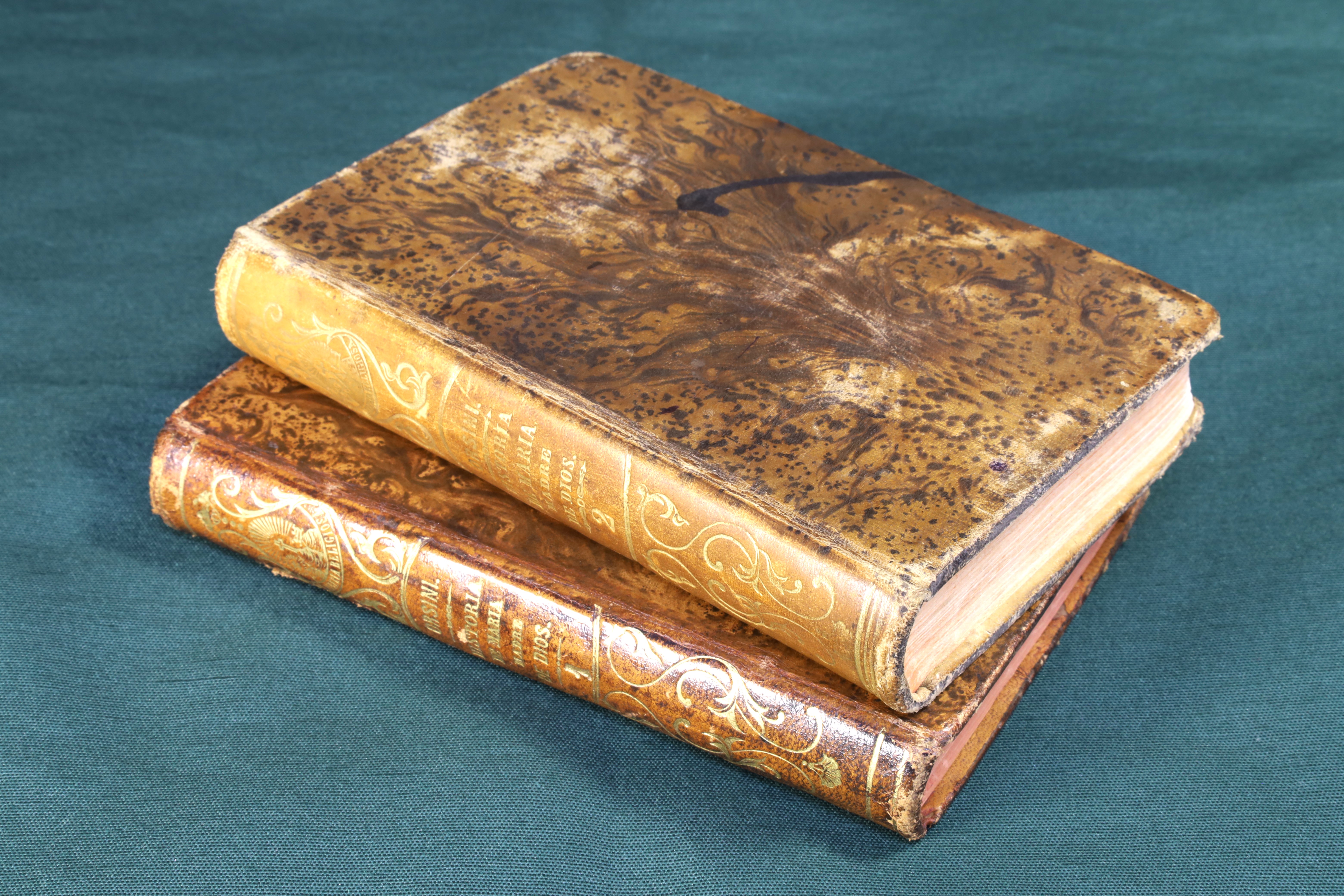 Antiques - THE VIRGIN. HISTORY OF MARY MOTHER OF GOD. TWO VOLUMES. 1857