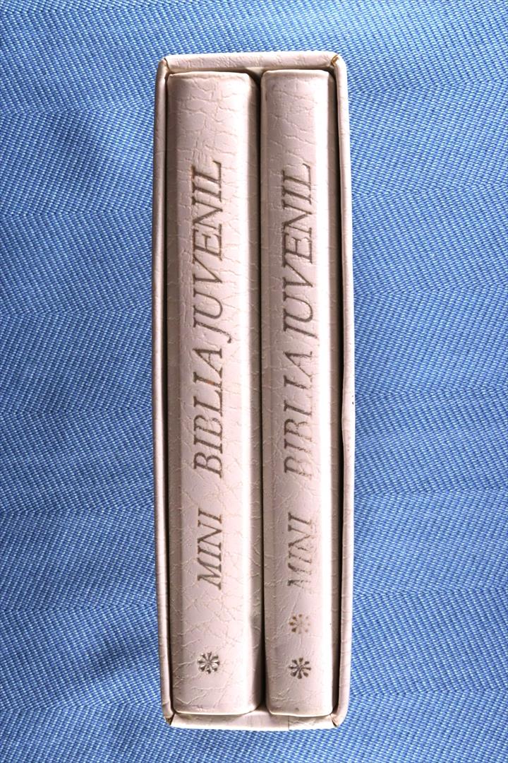 Antiques - SMALL YOUTH BIBLE ILLUSTRATED. 1987 (T)